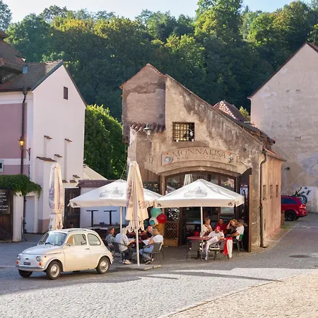 Rezidence Plesivec - Rodinny S 3 Loznicemi Homestay