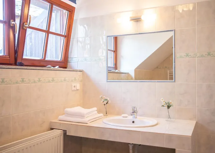 Rezidence Plesivec - Rodinny S 3 Loznicemi Privat bolig Český Krumlov